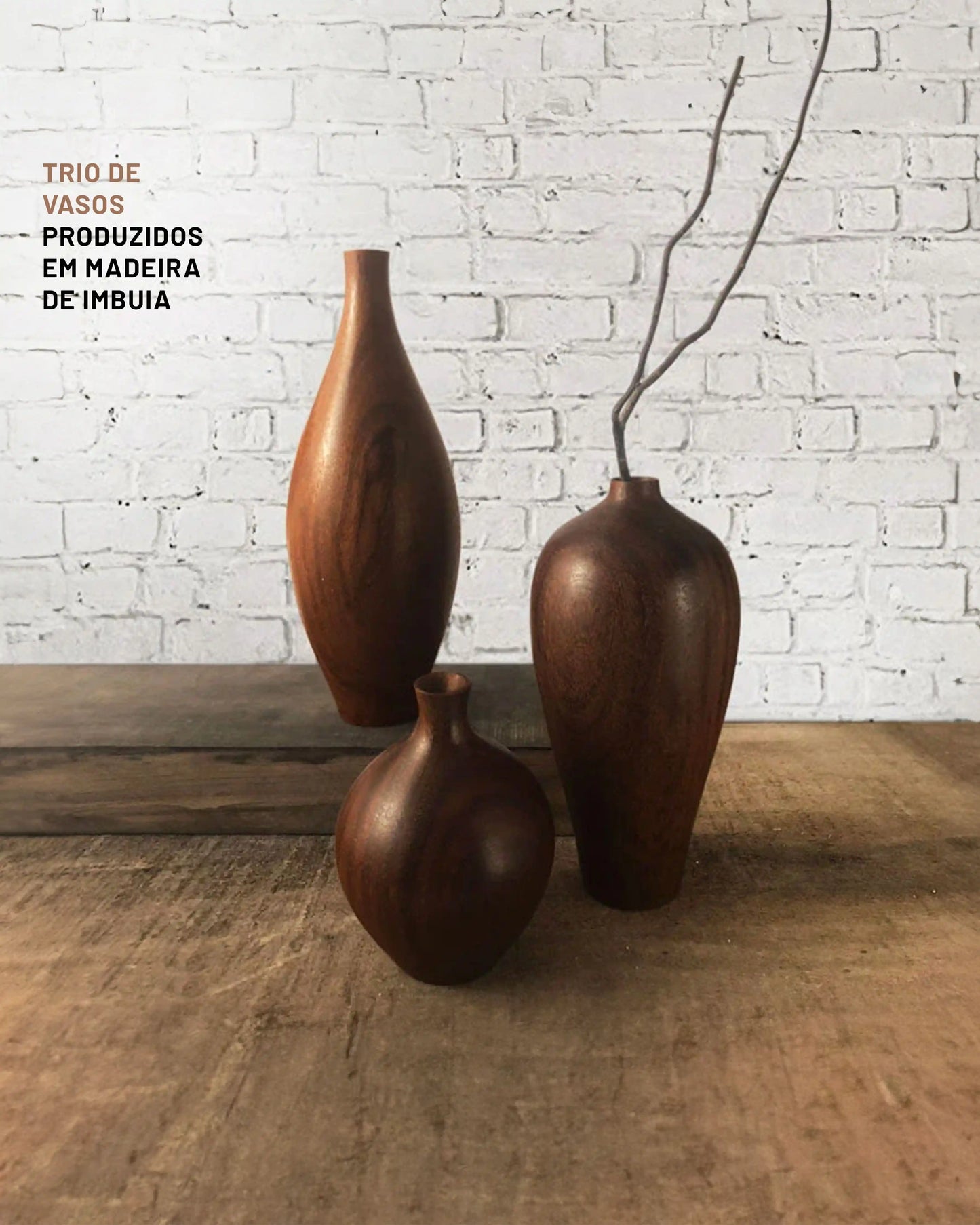 Trio de Vasos Odorata