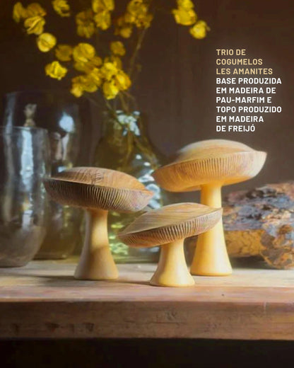 Trio de Cogumelos Les Amanites