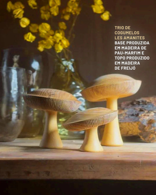 Trio de Cogumelos Les Amanites