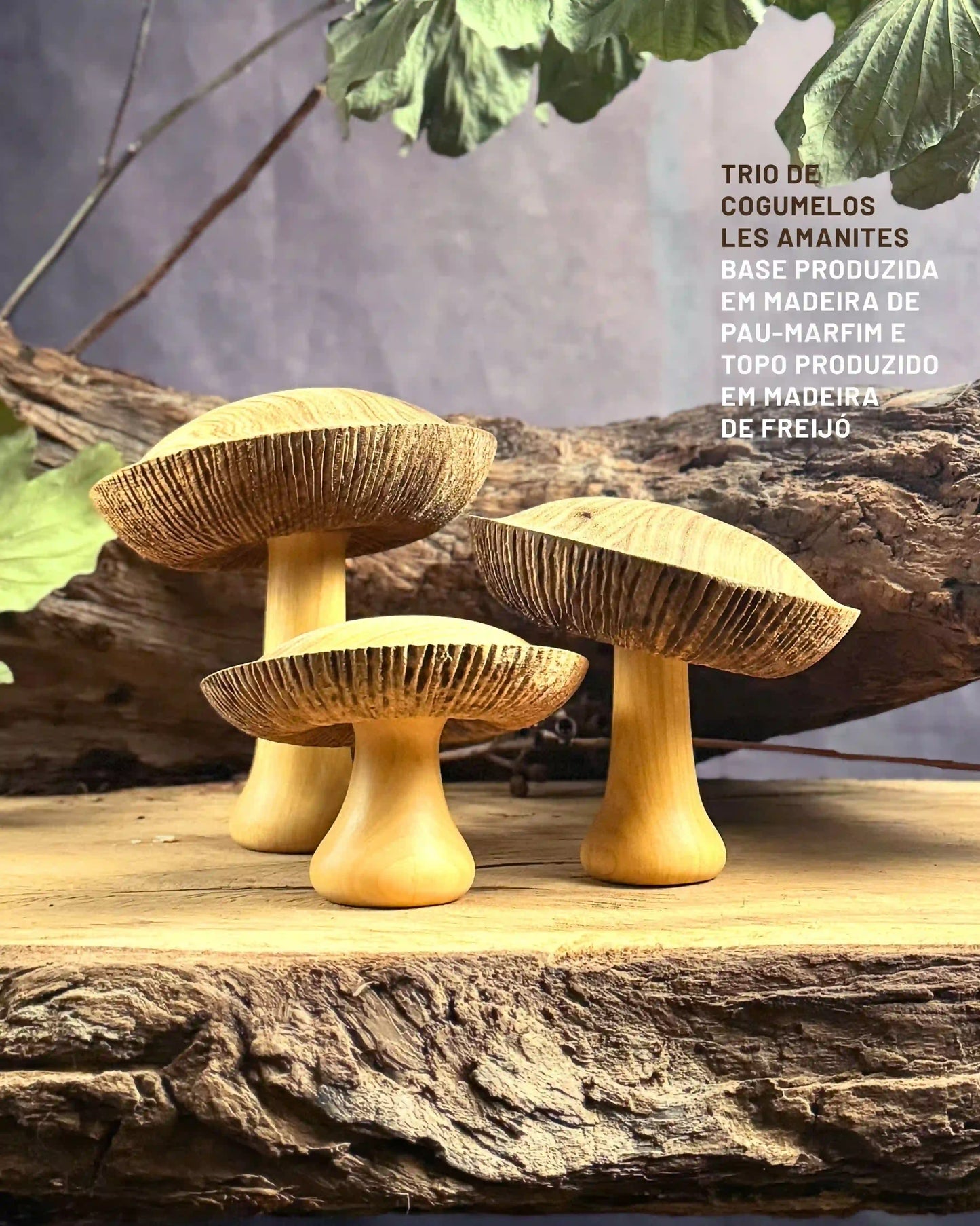 Trio de Cogumelos Les Amanites