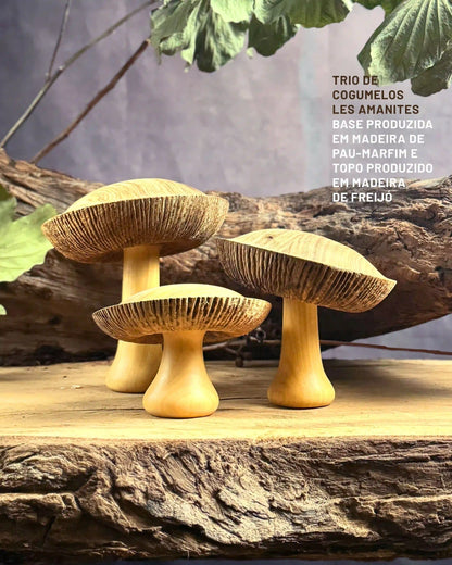 Trio de Cogumelos Les Amanites
