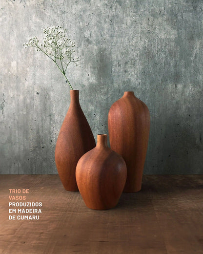 Trio de Vasos Odorata
