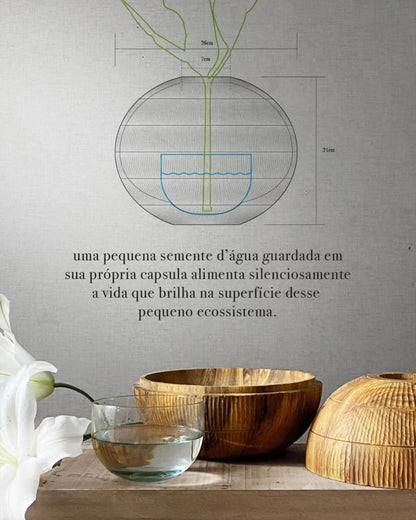 Vaso A Semente D'Água