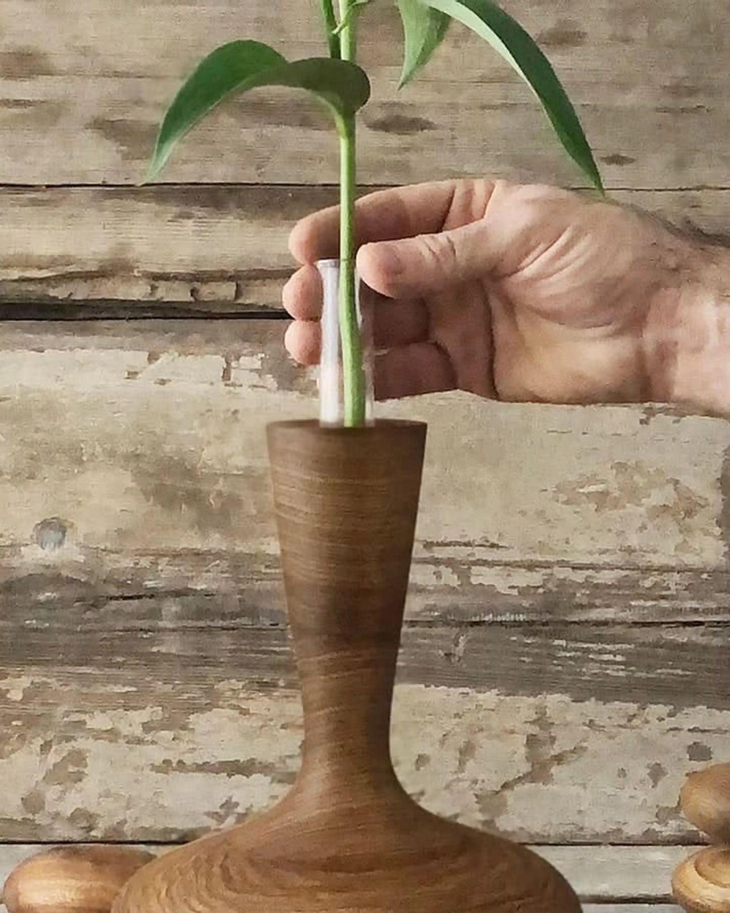Vaso Decanter