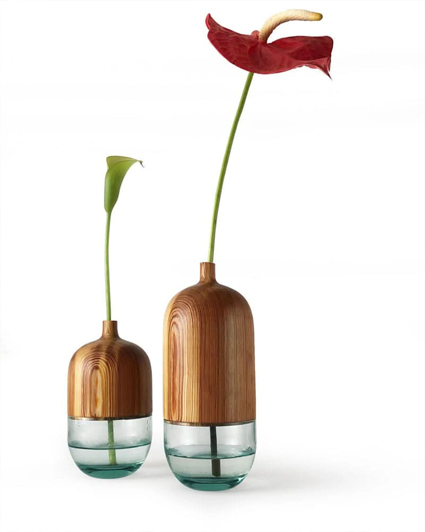 Vaso Duo Bojo