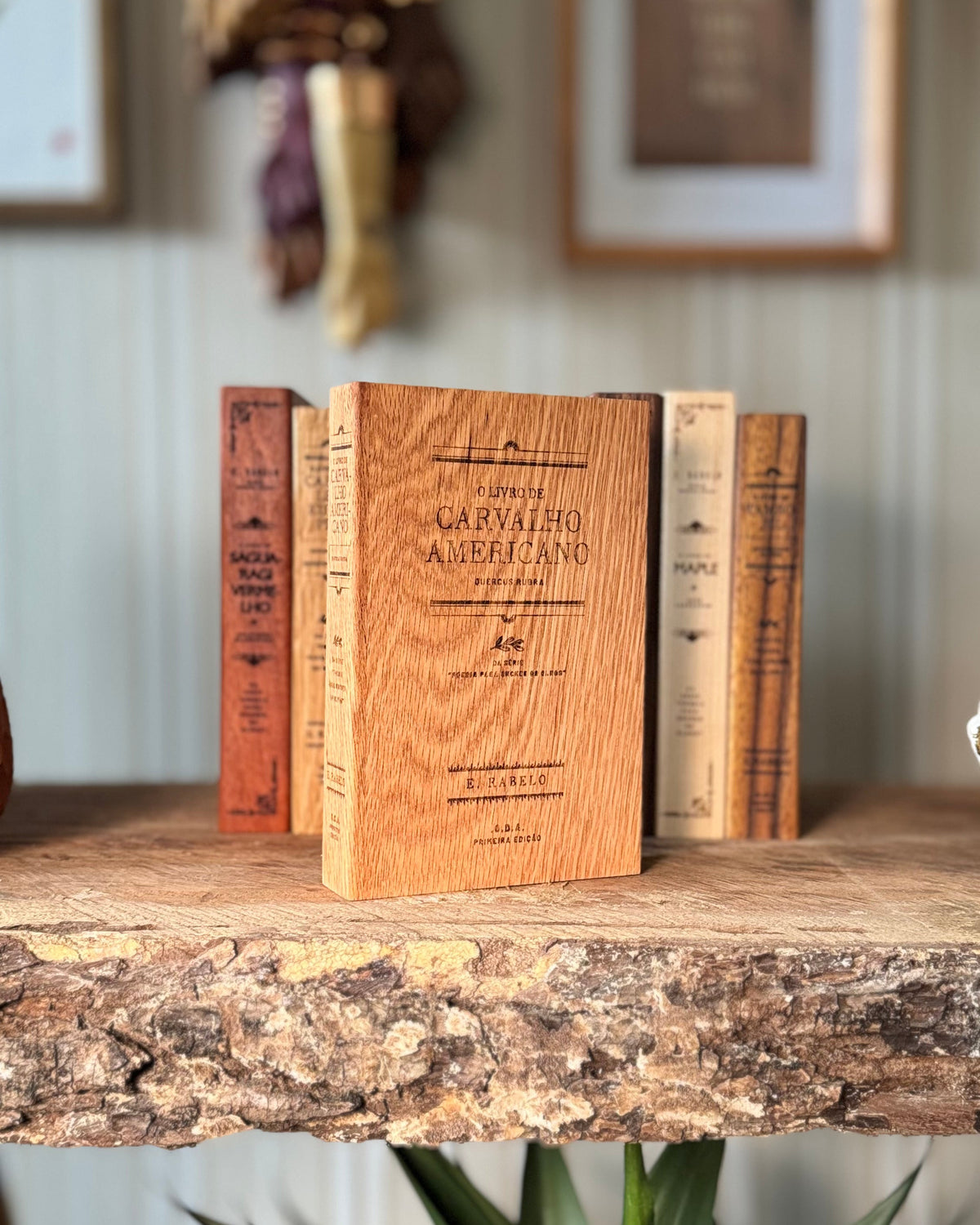 Xiloteca-Literaria-Escultura-de-Autor-Fine-Art-04