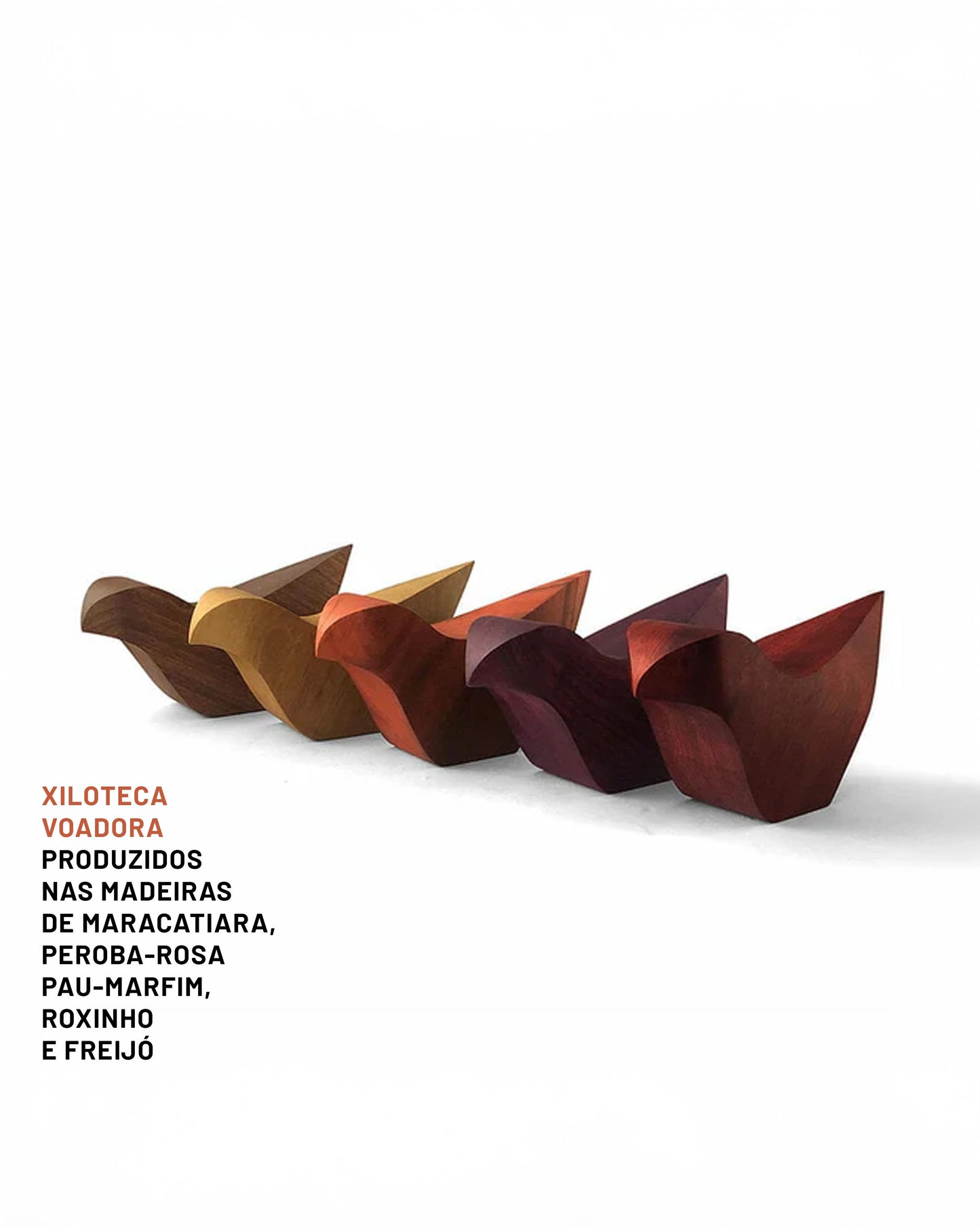 Xiloteca Voadora