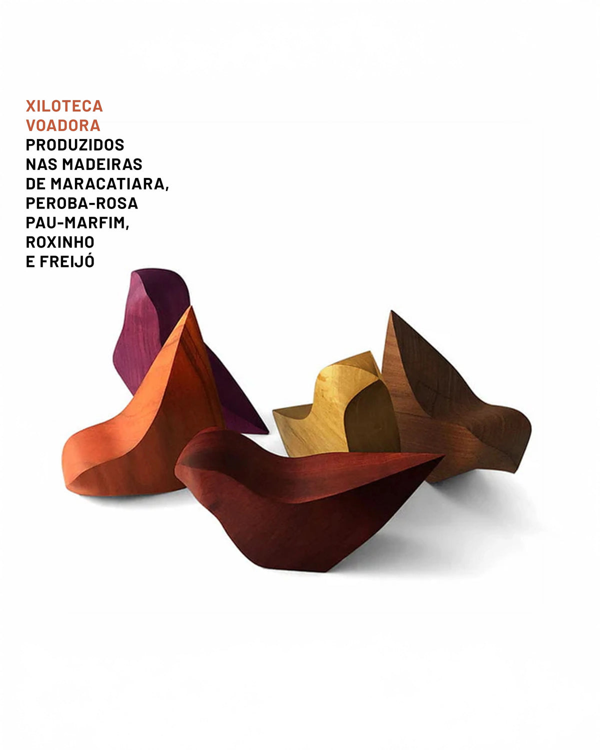 Xiloteca Voadora