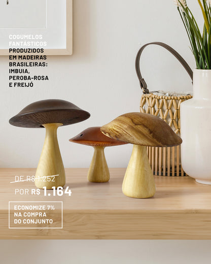 Cogumelos Fantásticos