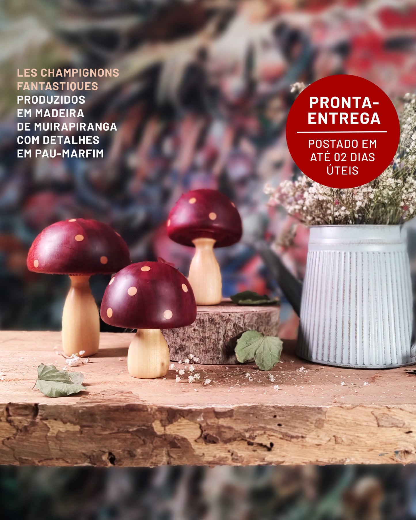 Les Champignons Fantastiques