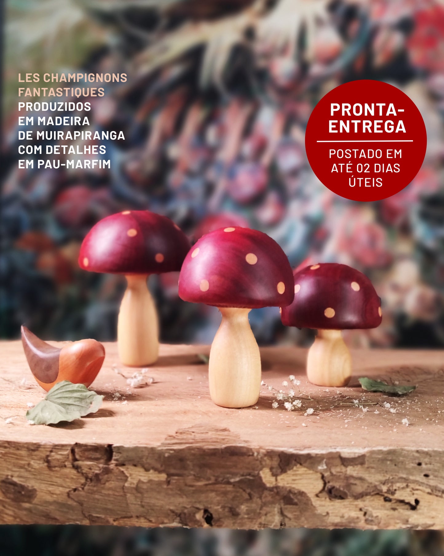 Les Champignons Fantastiques