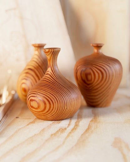 Vasos Petit Zaru