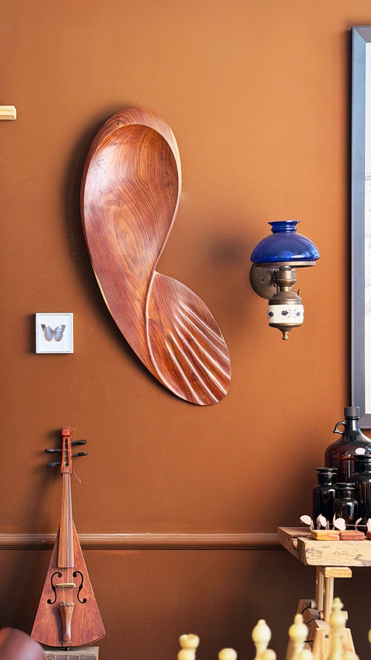 Organóide A Sereia G - Hospital