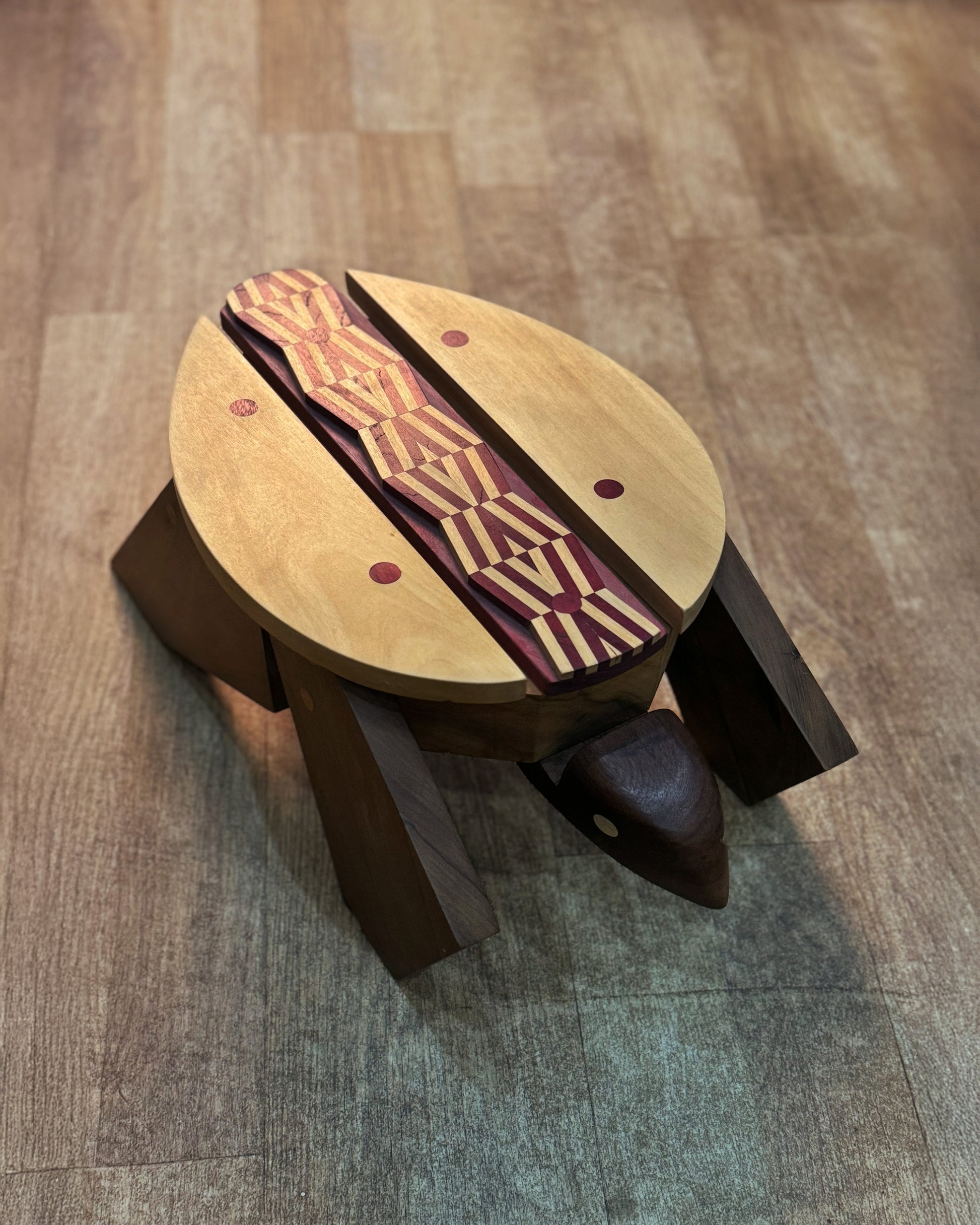 tartaruga-1
