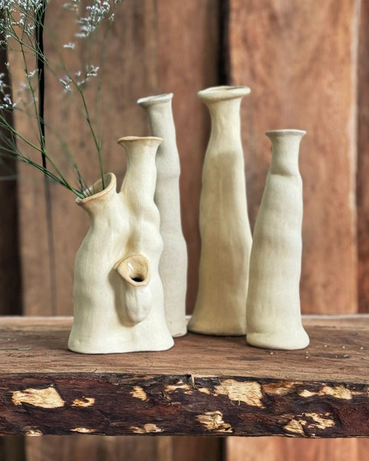 vaso-castical-coralina